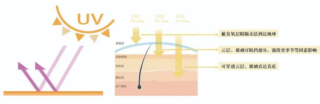 防晒原理